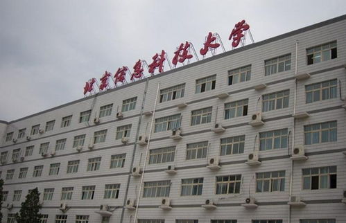 青春奉獻(xiàn)，科技賦能——記北京信息科技大學(xué)青年志愿者協(xié)會的信息技術(shù)咨詢志愿服務(wù)